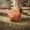 Hasbro Dungeons & Dragons Actiefiguur Honor Among Thieves Dicelings Beholder Multicolours