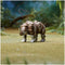 Hasbro Transformers - Transformers: Rise Of The Beasts Beast Alliance Battle Masters Rhinox 8 cm Actiefiguur - Multicolours