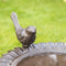 Haushalt Vogelbad Gietijzer - 19 x 79,5 cm