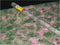 Haza Original Knutselpapier Grottenprint Groen 50x200 Cm