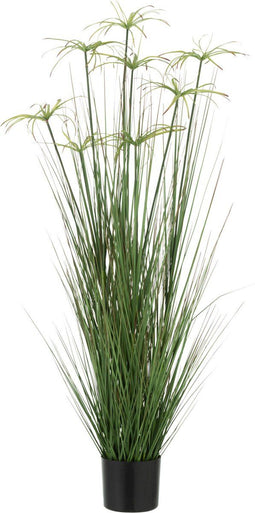 J-Line plant Cyperus Alternifolius 8 Koppen In Pot - kunststof - groen - medium
