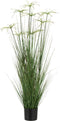 J-Line plant Cyperus Alternifolius 8 Koppen In Pot - kunststof - groen - medium