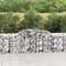vidaXL - Schanskorven - 2 - st - gewelfd - 300x50x80/100 - cm - gegalvaniseerd - ijzer