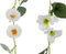 J-Line slinger Bloemen + Blaadjes - kunststof - wit/groen - 2 stuks