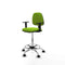 Piqueras y Crespo B1D05RN - Bureaustoel - Hoogteverstelbaar met armleuning - Pistache