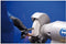 PFERD 39009706 - Slijp & schuur-accessoire voor multitools