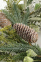 House of Seasons Alva - Kerstkrans - Ø50 cm met dennenappels - Groen