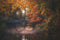 Customize it - Tuinschilderij weerspiegel 130x70cm