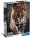 Clementoni - Puzzel - 1000 Stukjes - Walk of the Jaguar - Puzzel Voor Volwassenen - High Quality Collection