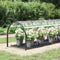 vidaXL - Doorzichtig - zeildoek - met - zeilringen - 1x5 - m - PVC