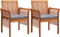 vidaXL - Tuinstoelen - 2 - st - met - kussens - massief - acaciahout