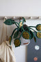 KidsDepot Hangplant Big Leaves Vilt - Sierplant - Kunstplant voor kinderkamer of woonkamer.