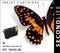 SecondLife Epson 603 XL - Huismerk cartridge - Zwart (20 ml)