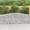 vidaXL - Schanskorven - 6 - st - gewelfd - 400x50x80/100 - cm - gegalvaniseerd - ijzer