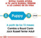 Royal Canin Jack Russell Terrier Junior - Hondenvoer - 3 kg