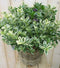 Hebe Bont Paars White Wash Mand