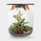 Hebe Orchid- Terrarium tafel - 45cm