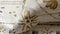 Heckett & Lane Barbola Dekbedovertrek - Lits-jumeaux - 240x200/220 cm - Bone Brown