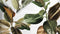 Heckett & Lane Bladel - Dekbedovertrek - Tweepersoons - 200x200/220 cm - Groen