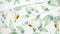 Heckett & Lane Jamill - Dekbedovertrek - Lits-jumeaux - 260x200/220 cm + 2 kussenslopen 60x70 cm - Garden Green