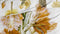 Heckett & Lane Kaisa Dekbedovertrek - Lits-jumeaux - 260x200/220 cm - White