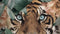 Heckett & Lane Lionel - Dekbedovertrek - Eenpersoons - 140x200/220 cm - Groen