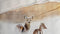 Heckett & Lane Mayer - Dekbedovertrek - Eenpersoons - 140x200/220 cm - Sunset Beige