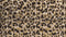 Heckett & Lane Nora - Flanel - Dekbedovertrek - Eenpersoons - 140x200/220 cm + 1 kussensloop 60x70 cm - Golden Brown