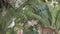 Heckett & Lane Safan - Dekbedovertrek - Lits-jumeaux - 240x200/220 cm - Groen