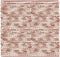 Heckettlane Badmat Brenda - Badkamermat - Antislip tapijt - 60x60 - Roze