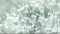 Heckettlane Beyla Dekbedovertrek - Lits-jumeaux - Katoen - 240x200-220cm - Groen