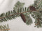 Heckettlane Bial Dekbedovertrek - Lits-jumeaux - Flanel - 240x200-220cm - Wit