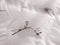 Heckettlane Birdie Dekbedovertrek - Lits-jumeaux - Katoen - 240x200-220cm - Off-White