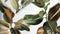 Heckettlane Bladel - Dekbedovertrek - Lits-jumeaux - 260x200/220 cm - Groen