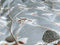 Heckettlane Blog Dekbedovertrek - Tweepersoons - Flanel - 200x200-220cm - Blauw