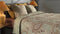 Heckettlane Camille Dekbedovertrek - Lits-jumeaux - Katoensatijn - 260x200-220cm - Groen