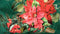 Heckettlane Castor Dekbedovertrek - Lits-jumeaux - Katoensatijn - 260x200-220cm - Groen