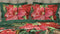 Heckettlane Castor Dekbedovertrek - Lits-jumeaux - Katoensatijn - 260x200-220cm - Groen