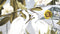 Heckettlane Chanda Dekbedovertrek - Lits-jumeaux - Katoensatijn - 260x200-220cm - Multi