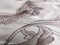 Heckettlane Clarabella Dekbedovertrek - Tweepersoons - Bamboe - 200x200-220cm - Wit