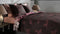 Heckettlane Clover Dekbedovertrek - Tweepersoons - Katoensatijn - 200x200-220cm - Zwart