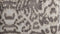 Heckettlane Dekbedovertrek Artimis - Bedlinnen met print - 240x220 - Natural - Dekbedhoes van 100% Katoen-Satijn
