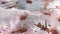 Heckettlane Dekbedovertrek Bamhi - Bedlinnen met Bloemen print - 260x220 - Wit - Dekbedhoes van Bamboe & Satijn
