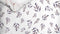 Heckettlane Dekbedovertrek Della - Bedlinnen met Bloemen print - 240x220 - Wit - Dekbedhoes van 100% Katoen-Dobby