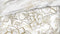 Heckettlane Dekbedovertrek Fabiola - Bedlinnen met Bloemen print - 140x220 - Off-White - Dekbedhoes van 100% Katoen-Satijn