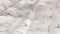 Heckettlane Dekbedovertrek Fresia - Bedlinnen met Takken print - 200x220 - Wit - Dekbedhoes van 100% Katoen-Clip Sheared