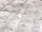 Heckettlane Dekbedovertrek Fresia - Bedlinnen met Takken print - 260x220 - Wit - Dekbedhoes van 100% Katoen-Clip Sheared