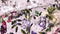 Heckettlane Dekbedovertrek Samia - Bedlinnen met Bloemen print - 260x220 - Roze - Dekbedhoes van 100% Katoen-Satijn