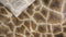 Heckettlane Dekbedovertrek Tyra - Bedlinnen met Dieren print - 140x220 - Bruin - Dekbedhoes van 100% Katoen-Satijn