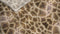 Heckettlane Dekbedovertrek Tyra - Bedlinnen met Dieren print - 200x220 - Bruin - Dekbedhoes van 100% Katoen-Satijn